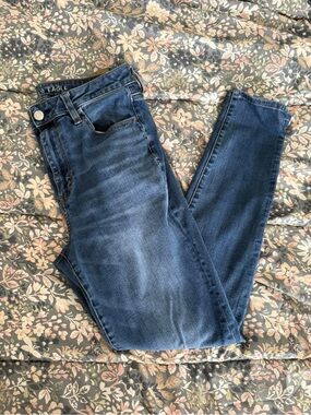American Eagle Outfitters Skinny Jeans — Blue Wash